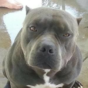 Meet your Posher, Randy